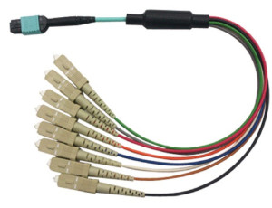MPO (M) - 12 x SC Simplex - OM3 - With reversible MTX